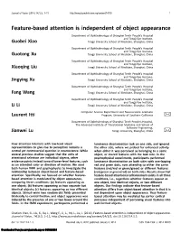Feature-Based Attention Is Independent of Object Appearance