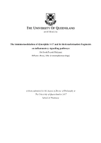 The Immunomodulation of Dynorphin 1-17 and Its Biotransformation
