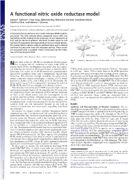 A Functional Nitric Oxide Reductase Model