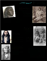 After Making Peace in 1872 Cochise Retired to the New Chiricahua Reservation, Where He Died of Natural Causes in 1874