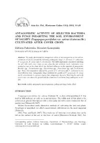 ANTAGONISTIC ACTIVITY of SELECTED BACTERIA and FUNGI INHABITING the SOIL ENVIRONMENT of SALSIFY (Tragopogon Porrifolius Var