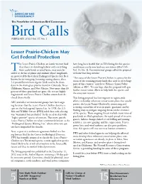 Bird Calls FEBRUARY 2013 L Vol