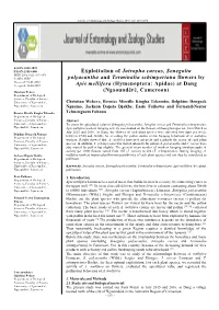Exploitation of Jatropha Curcas, Senegalia Polyacantha And