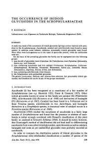 (I) Has Recognized Scrophulariaceae