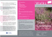 Three Commons Continue Uphill Until You Reach a Crossroads