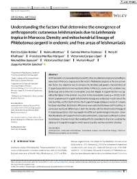 Understanding the Factors That Determine the Emergence Of