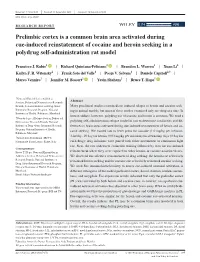 Prelimbic Cortex Is a Common Brain Area Activated During Cue&#X2010;Induced Reinstatement of Cocaine and Heroin Seeking in A