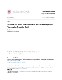 Structure and Molecular Mechanism of a PLP/GABA Dependent Transcription Regulator Gabr