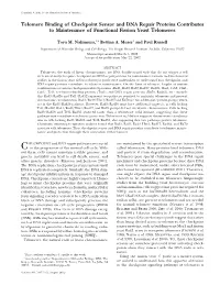 Telomere Binding of Checkpoint Sensor and DNA Repair Proteins Contributes to Maintenance of Functional Fission Yeast Telomeres
