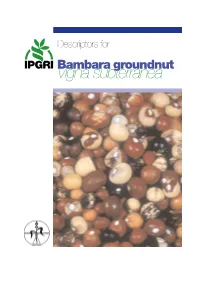 Descriptors for Bambara Groundnut (Vigna Subterranea)