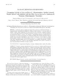 Uncapping Activity of Apis Mellifera L. (Hymenoptera: Apidae) Towards