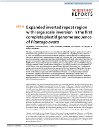 Expanded Inverted Repeat Region with Large Scale