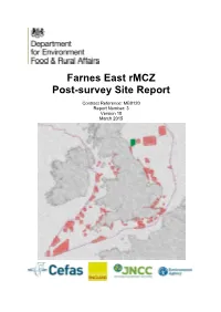 Farnes East Rmcz Summary Site Report