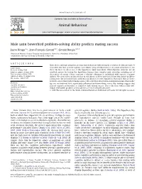 Male Satin Bowerbird Problem-Solving Ability Predicts Mating Success