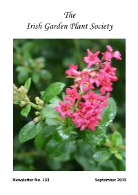 Newsletter No