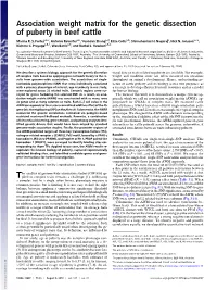 Association Weight Matrix for the Genetic Dissection of Puberty in Beef Cattle
