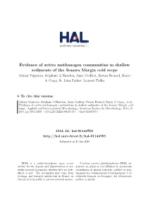 Evidence of Active Methanogen Communities in Shallow Sediments