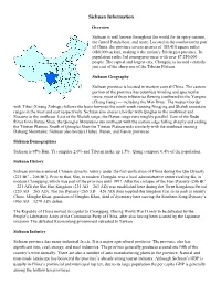 Sichuan Information