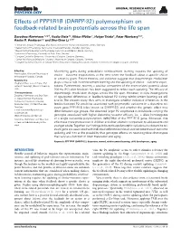 Effects of PPP1R1B (DARPP-32) Polymorphism on Feedback-Related Brain Potentials Across the Life Span
