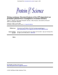 Proteases Gleaned from Investigations of Isolated Domains Slicing A
