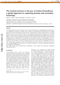 The Hooked Element in the Pes of Turtles (Testudines): a Global Approach to Exploring Primary and Secondary Homology Walter G