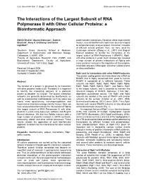 The Interactions of the Largest Subunit of RNA Polymerase II with Other Cellular Proteins: a Bioinformatic Approach