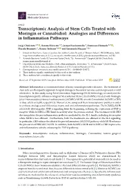 Transcriptomic Analysis of Stem Cells Treated with Moringin Or Cannabidiol: Analogies and Diﬀerences in Inﬂammation Pathways