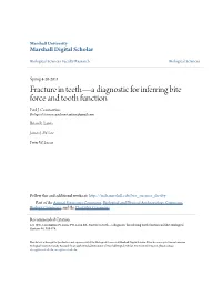 Fracture in Teeth—A Diagnostic for Inferring Bite Force and Tooth Function Paul J