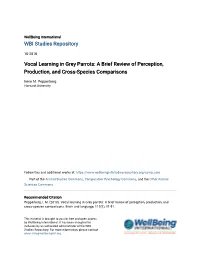 Vocal Learning in Grey Parrots: a Brief Review of Perception, Production, and Cross-Species Comparisons