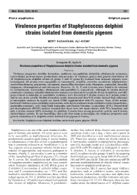 Virulence Properties of Staphylococcus Delphini Strains Isolated from Domestic Pigeons