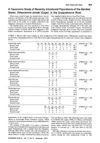 A Taxonomic Study of Recently Introduced Populations of The