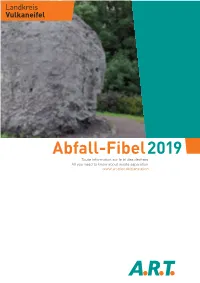 ART Fibel2019 VULKAN.Indd