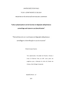 “Colour Polymorphism and Its Function in Hippolyte Obliquimanus