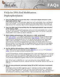 Faqs for DNA End Modification: Dephosphorylation