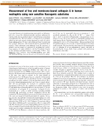 Measurement of Free and Membrane-Bound Cathepsin G In