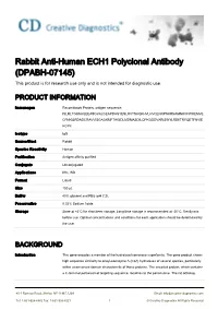 Rabbit Anti-Human ECH1 Polyclonal Antibody (DPABH-07145) This Product Is for Research Use Only and Is Not Intended for Diagnostic Use