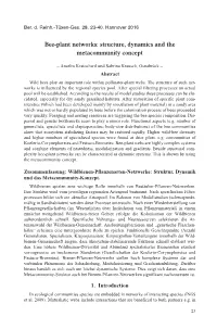 Bee-Plant Networks: Structure, Dynamics and the Metacommunity Concept