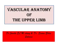 Brachial Artery
