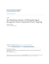 The Membrane Interface of Chloroplast Signal Recognition Particle-Dependent Protein Targeting