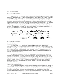 (TPA) Is Made by Air Oxidation of P-Xylene and Requires Purification for Use in Polyester Fiber Manufacture