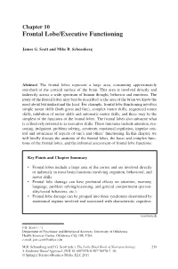 Frontal Lobe/Executive Functioning