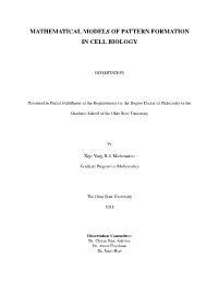 Mathematical Models of Pattern Formation in Cell Biology
