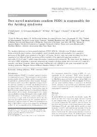 Two Novel Mutations Confirm FGD1 Is Responsible for the Aarskog Syndrome