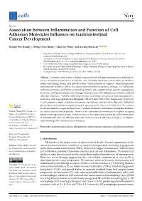 Association Between Inflammation and Function of Cell Adhesion Molecules Influence on Gastrointestinal Cancer Development