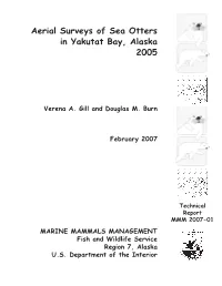 Final Report