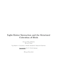 Light-Matter Interaction and the Structural Coloration of Birds
