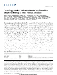 Lethal Aggression in Pan Is Better Explained by Adaptive Strategies Than Human Impacts