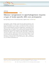 Meiosis I Progression in Spermatogenesis Requires a Type of Testis-Speciﬁc 20S Core Proteasome