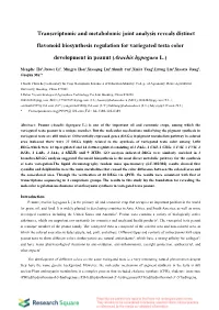 Transcriptomic and Metabolomic Joint Analysis Reveals Distinct Flavonoid Biosynthesis Regulation for Variegated Testa Color Deve