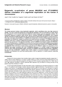 Epigenetic Co-Activation of Genes MAGEA6 and CT-GABRA3 Defines Orientation of a Segmental Duplication on the Human X Chromosome